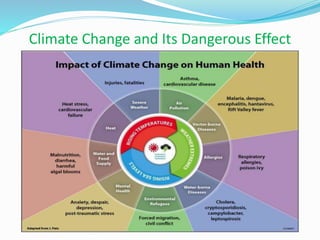 Climate Change and Its Dangerous Effect
 