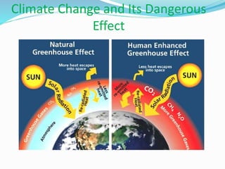 Climate Change and Its Dangerous
Effect
 
