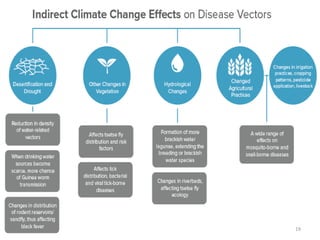 Climate change and its impact on health | PPTX
