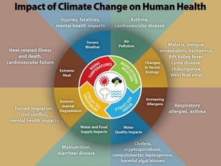 Climate change and its impact on health | PPTX