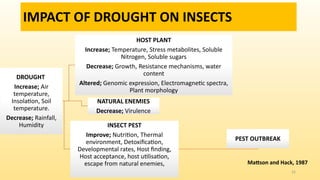 Drought Insect Impact of Climate Change on Pest Outbreaks in India: Causes, Effects ...