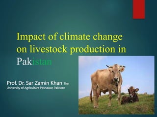 Impact of climate change
on livestock production in
Pakistan
Prof. Dr. Sar Zamin Khan The
University of Agriculture Peshawar, Pakistan
 