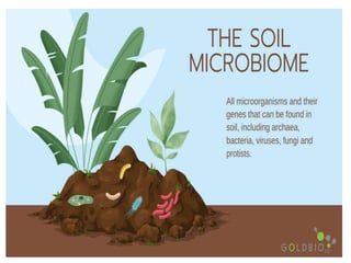 Climate change and microbiota-1.pptx