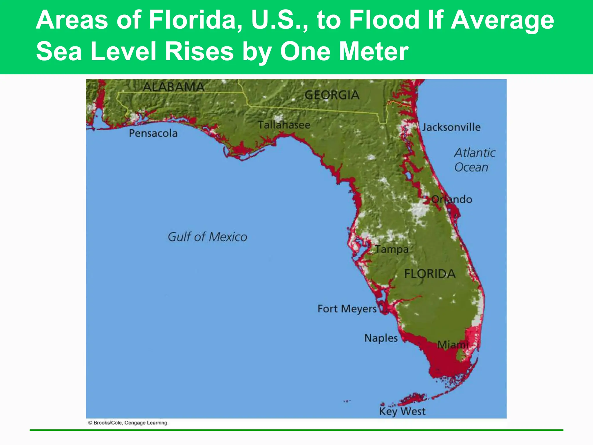 Areas of Florida, U.S., to Flood If Average
Sea Level Rises by One Meter
 