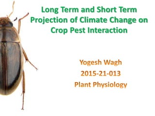 Long Term and Short Term
Projection of Climate Change on
Crop Pest Interaction
 
