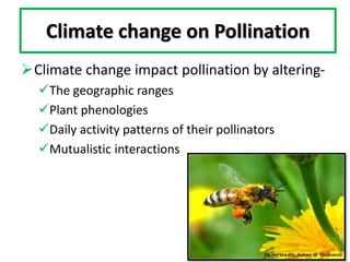 Climate change on Pollination
Climate change impact pollination by altering-
The geographic ranges
Plant phenologies
Daily activity patterns of their pollinators
Mutualistic interactions
 