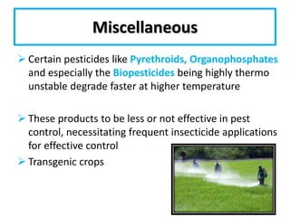 Miscellaneous
 Certain pesticides like Pyrethroids, Organophosphates
and especially the Biopesticides being highly thermo
unstable degrade faster at higher temperature
 These products to be less or not effective in pest
control, necessitating frequent insecticide applications
for effective control
 Transgenic crops
 