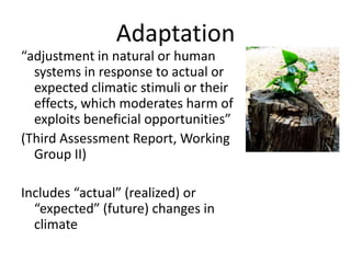 Adaptation
“adjustment in natural or human
  systems in response to actual or
  expected climatic stimuli or their
  effects, which moderates harm of
  exploits beneficial opportunities”
(Third Assessment Report, Working
  Group II)

Includes “actual” (realized) or
  “expected” (future) changes in
  climate
 