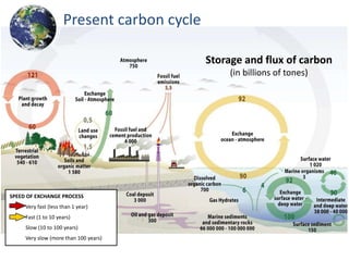 Present carbon cycle

                                            Storage and flux of carbon
                                                 (in billions of tones)




SPEED OF EXCHANGE PROCESS
     Very fast (less than 1 year)
     Fast (1 to 10 years)
     Slow (10 to 100 years)
     Very slow (more than 100 years)
 