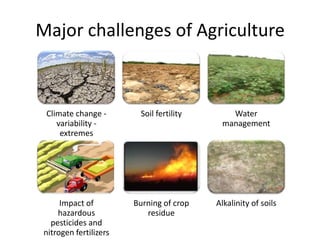 Major challenges of Agriculture



 Climate change -        Soil fertility      Water
    variability -                          management
     extremes




      Impact of         Burning of crop   Alkalinity of soils
     hazardous             residue
   pesticides and
 nitrogen fertilizers
 