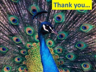 Climate change and water resources