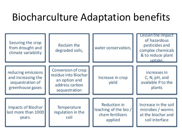 thesis climate change and water resources And its relevance for treeline advance in response to climate change water adjudications and water resources in the resources for students thesis topics. thesis climate change and water resources And its relevance for treeline advance in response to climate change water adjudications and water resources in the resources for students thesis topics.