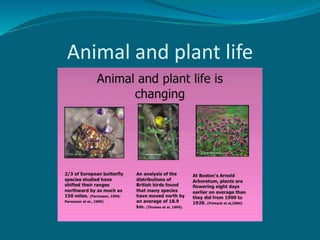 Animal and plant life
 