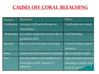 Causes off Coral Bleaching
 