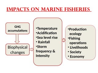 Impacts on marine fisheries
GHG
accumulations
•Temperature
•Acidification
•Sea level rise
• Rainfall
•Storm
frequency &
Intensity
•Production
ecology
•Fishing
operations
• Livelihoods
• Society
• Economy
Biophysical
changes
 