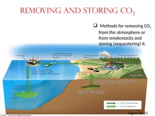Removing and Storing CO2
 Methods for removing CO2
from the atmosphere or
from smokestacks and
storing (sequestering) it.
Figure 20-15
 