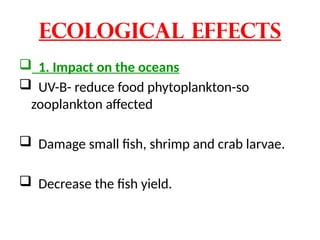 Ecological effects
 1. Impact on the oceans
 UV-B- reduce food phytoplankton-so
zooplankton affected
 Damage small fish, shrimp and crab larvae.
 Decrease the fish yield.
 
