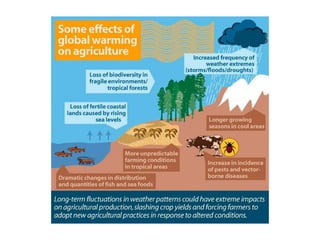 CLIMATE CHANGE ASSIGNMENT.ppt