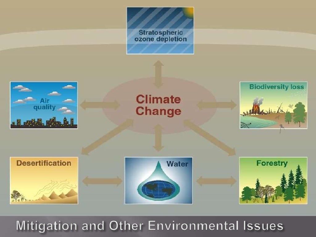 Mitigation and Other Environmental Issues