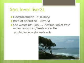 Sea level rise-SL
 Coastal erosion - at 0.5m/yr
 Rate of accretion – 0.2m/yr
 Sea water intrusion → destruction of fresh
water resources / fresh water life
eg. Muturajawela wetlands
 