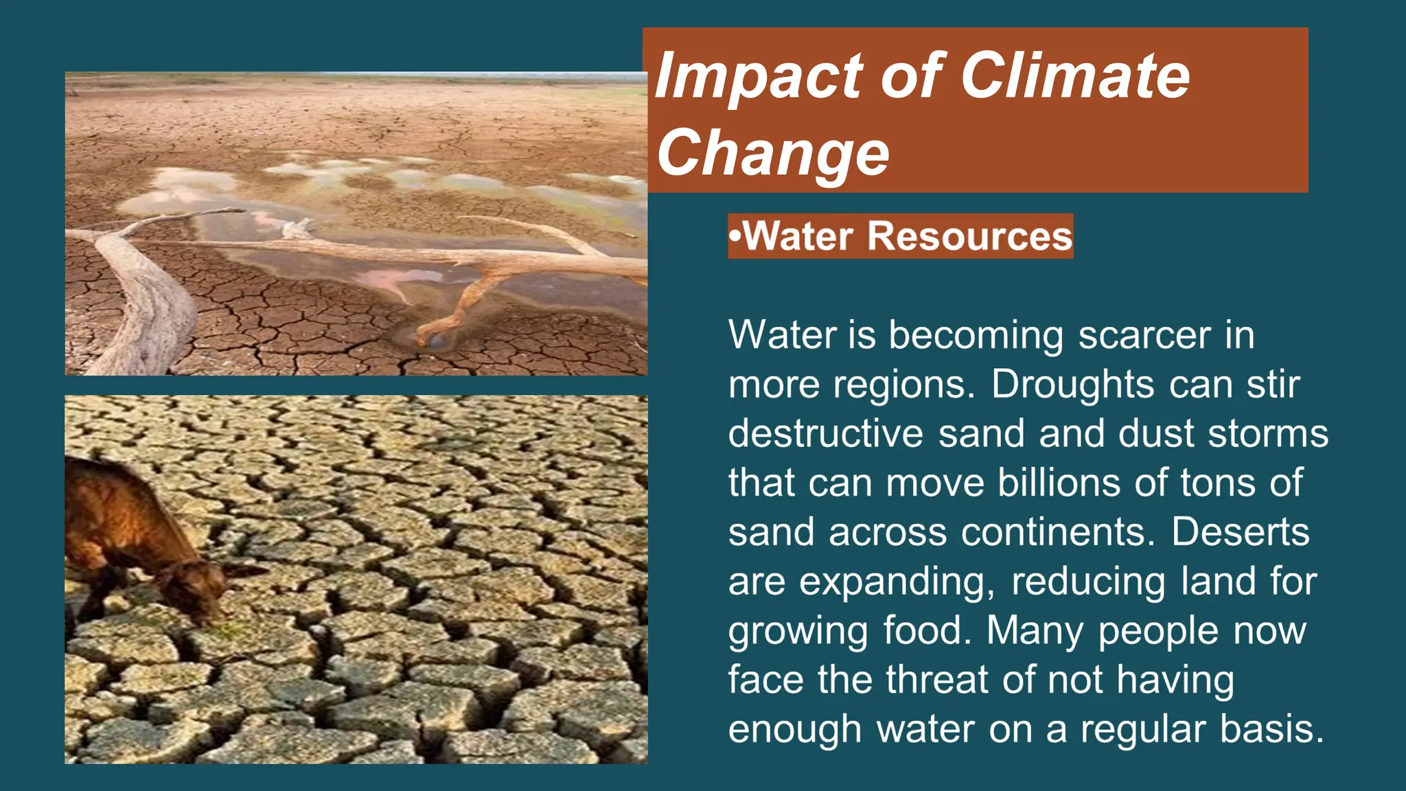 Impact of Climate
Change
 