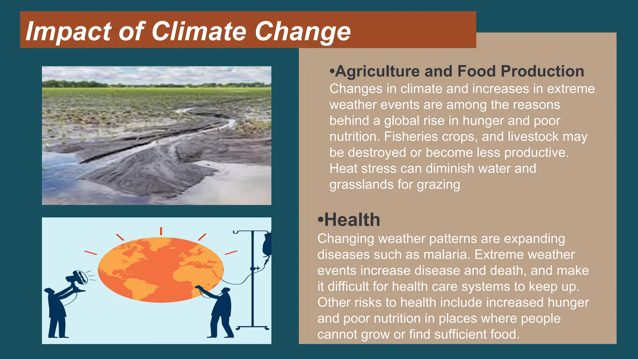 •Agriculture and Food Production
Changes in climate and increases in extreme
weather events are among the reasons
behind a global rise in hunger and poor
nutrition. Fisheries crops, and livestock may
be destroyed or become less productive.
Heat stress can diminish water and
grasslands for grazing
Impact of Climate Change
•Health
Changing weather patterns are expanding
diseases such as malaria. Extreme weather
events increase disease and death, and make
it difficult for health care systems to keep up.
Other risks to health include increased hunger
and poor nutrition in places where people
cannot grow or find sufficient food.
 