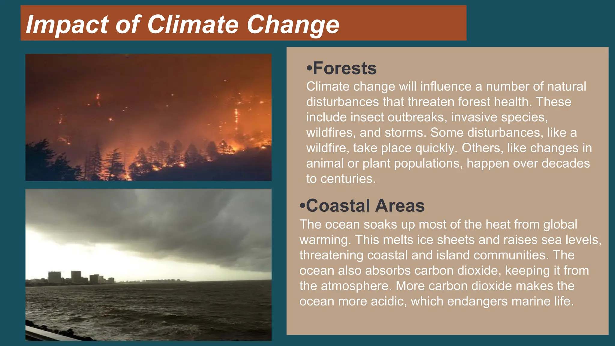 Impact of Climate Change
•Forests
Climate change will influence a number of natural
disturbances that threaten forest health. These
include insect outbreaks, invasive species,
wildfires, and storms. Some disturbances, like a
wildfire, take place quickly. Others, like changes in
animal or plant populations, happen over decades
to centuries.
•Coastal Areas
The ocean soaks up most of the heat from global
warming. This melts ice sheets and raises sea levels,
threatening coastal and island communities. The
ocean also absorbs carbon dioxide, keeping it from
the atmosphere. More carbon dioxide makes the
ocean more acidic, which endangers marine life.
 