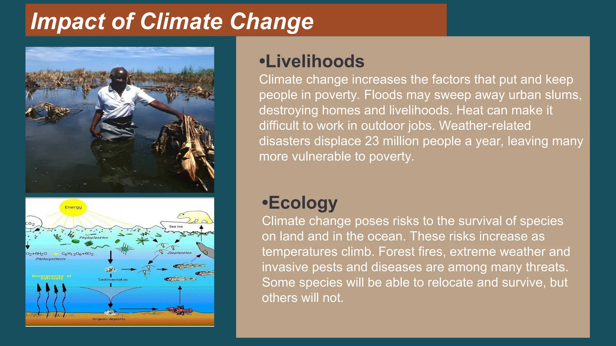 •Livelihoods
Climate change increases the factors that put and keep
people in poverty. Floods may sweep away urban slums,
destroying homes and livelihoods. Heat can make it
difficult to work in outdoor jobs. Weather-related
disasters displace 23 million people a year, leaving many
more vulnerable to poverty.
Impact of Climate Change
•Ecology
Climate change poses risks to the survival of species
on land and in the ocean. These risks increase as
temperatures climb. Forest fires, extreme weather and
invasive pests and diseases are among many threats.
Some species will be able to relocate and survive, but
others will not.
 