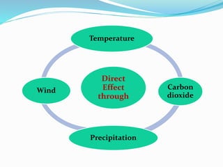 Direct
Effect
through
Temperature
Carbon
dioxide
Precipitation
Wind
 