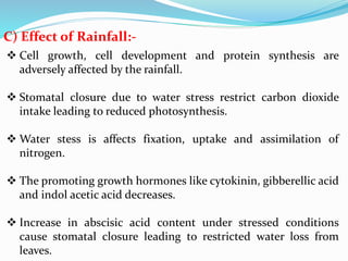 C) Effect of Rainfall:-
 Cell growth, cell development and protein synthesis are
adversely affected by the rainfall.
 Stomatal closure due to water stress restrict carbon dioxide
intake leading to reduced photosynthesis.
 Water stess is affects fixation, uptake and assimilation of
nitrogen.
 The promoting growth hormones like cytokinin, gibberellic acid
and indol acetic acid decreases.
 Increase in abscisic acid content under stressed conditions
cause stomatal closure leading to restricted water loss from
leaves.
 