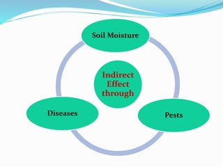 Indirect
Effect
through
Soil Moisture
PestsDiseases
 