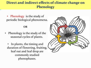 Direct and indirect effects of climate change on
Phenology
• Phenology is the study of
periodic biological phenomena.
OR
• Phenology is the study of the
seasonal cycles of plants.
• In plants, the timing and
duration of flowering, fruiting,
leaf out and leaf drop are
commonly studied
phenophases.
 