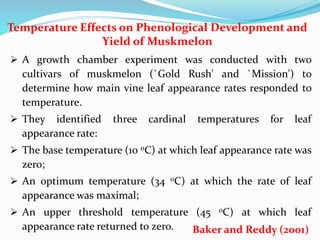 Temperature Effects on Phenological Development and
Yield of Muskmelon
 A growth chamber experiment was conducted with two
cultivars of muskmelon (`Gold Rush' and `Mission') to
determine how main vine leaf appearance rates responded to
temperature.
 They identified three cardinal temperatures for leaf
appearance rate:
 The base temperature (10 0C) at which leaf appearance rate was
zero;
 An optimum temperature (34 0C) at which the rate of leaf
appearance was maximal;
 An upper threshold temperature (45 0C) at which leaf
appearance rate returned to zero. Baker and Reddy (2001)
 