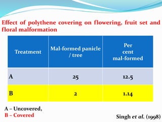 Effect of polythene covering on flowering, fruit set and
floral malformation
A – Uncovered,
B – Covered Singh et al. (1998)
Treatment
Mal-formed panicle
/ tree
Per
cent
mal-formed
A 25 12.5
B 2 1.14
 