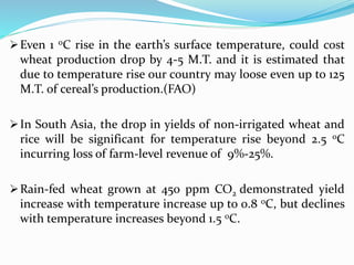 Even 1 0C rise in the earth’s surface temperature, could cost
wheat production drop by 4-5 M.T. and it is estimated that
due to temperature rise our country may loose even up to 125
M.T. of cereal’s production.(FAO)
In South Asia, the drop in yields of non-irrigated wheat and
rice will be significant for temperature rise beyond 2.5 0C
incurring loss of farm-level revenue of 9%-25%.
Rain-fed wheat grown at 450 ppm CO2 demonstrated yield
increase with temperature increase up to 0.8 0C, but declines
with temperature increases beyond 1.5 0C.
 