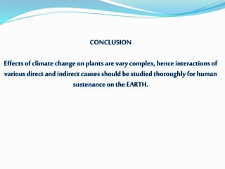 Climate change effect on plant