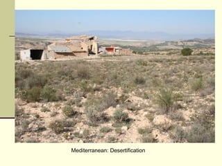 Mediterranean: Desertification