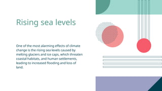 Rising sea levels
One of the most alarming effects of climate
change is the rising sea levels caused by
melting glaciers and ice caps, which threaten
coastal habitats, and human settlements,
leading to increased flooding and loss of
land.
 