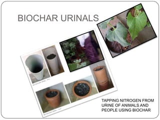 BIOCHAR URINALS




                  TAPPING NITROGEN FROM
                  URINE OF ANIMALS AND
                  PEOPLE USING BIOCHAR
 
