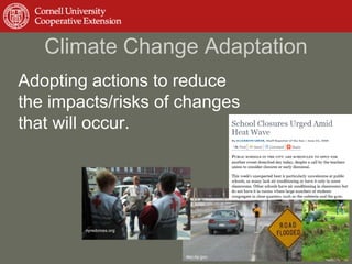 Responding to Climate Change at the Local Level | PPTX