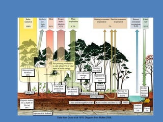 Climate Impacts on Forests and Ecosystems | PPT