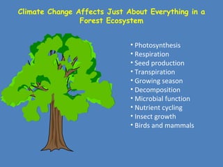 Climate Impacts on Forests and Ecosystems | PPT
