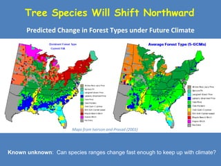Climate Impacts on Forests and Ecosystems | PPT