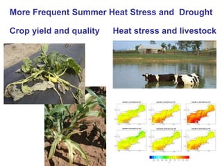 Farming Success in a Changing Climate | PPTX