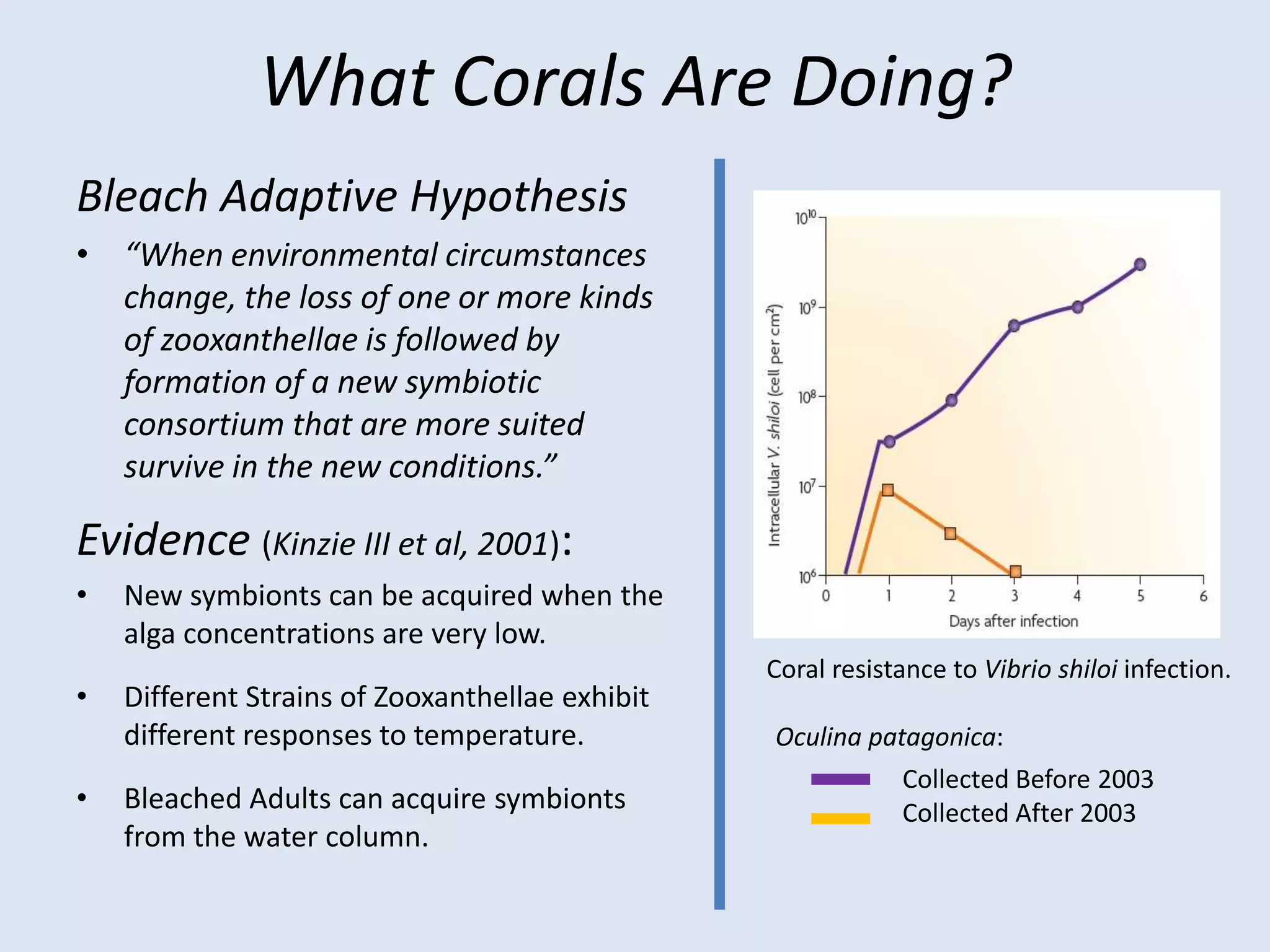 Increase in calcification on the reefHowever, the pH is also lowered which causes dissolution of CaCO3.Image source: http://www.ldeo.columbia.edu/~sanpisa/OceanSed%20project/factorscontrolcarbonate.htm