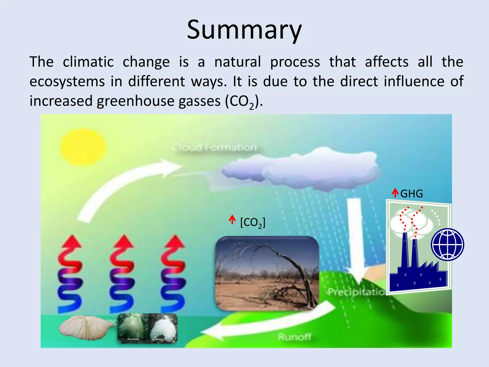 Over 31˚C, calcification rate is greatly reduced and can eventually be overtaken by dissolution (Fujimura et al. 2008)H. Fujimura et al. / J. Biochem. Biophys. Methods 70 (2008) 865–872