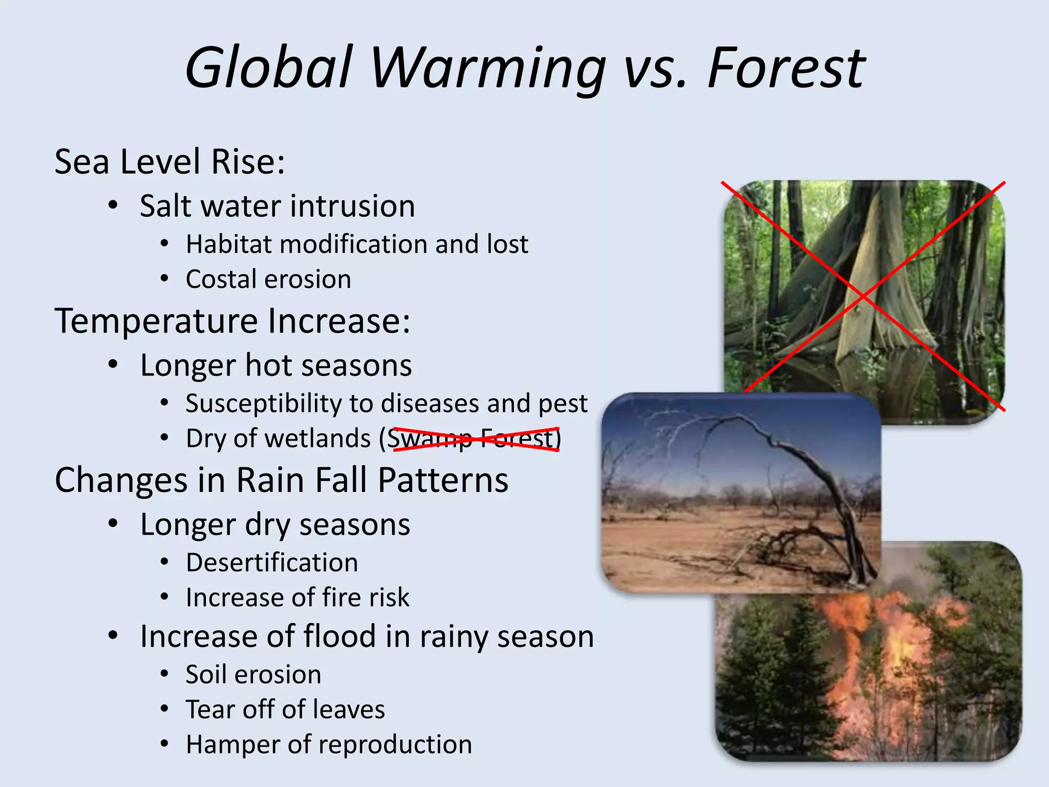 CO2 stored in forest ecosystems is calculated in 4,500gigatons. 