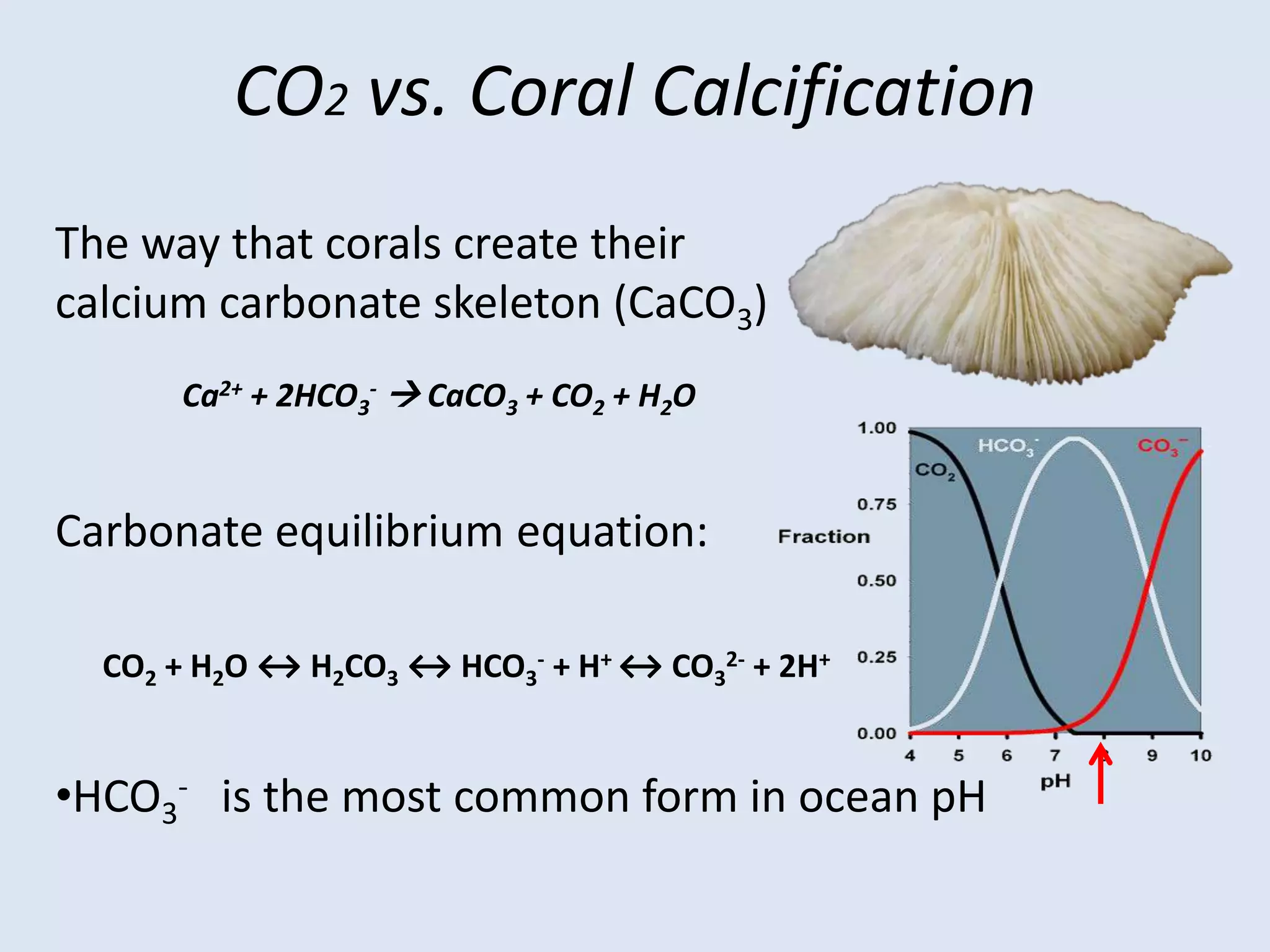 > World Remaining Oil Stocks.