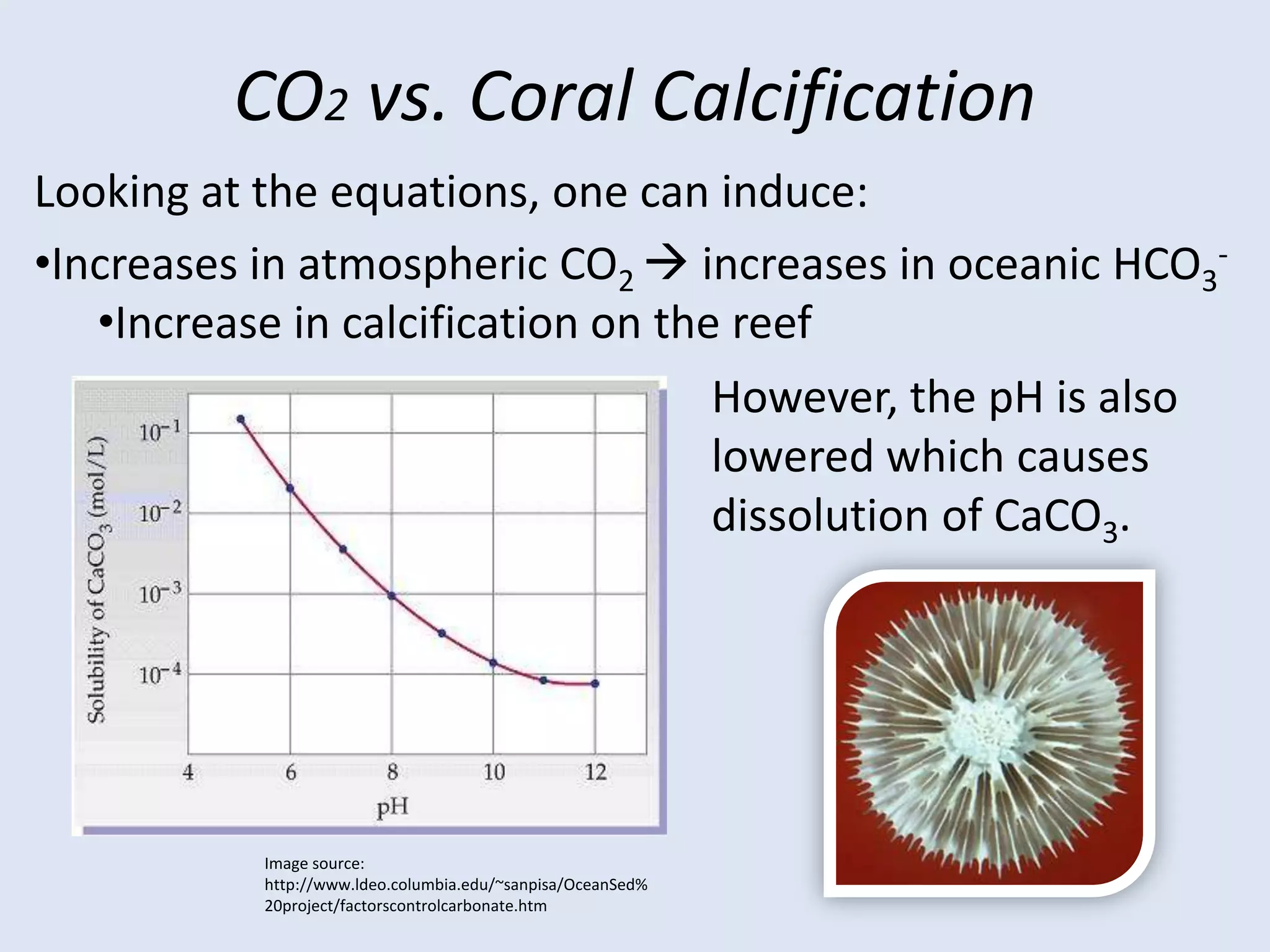 >Amount of Carbon in the Atmosphere.Deforestation:Release the Sequestrated  CO2. 