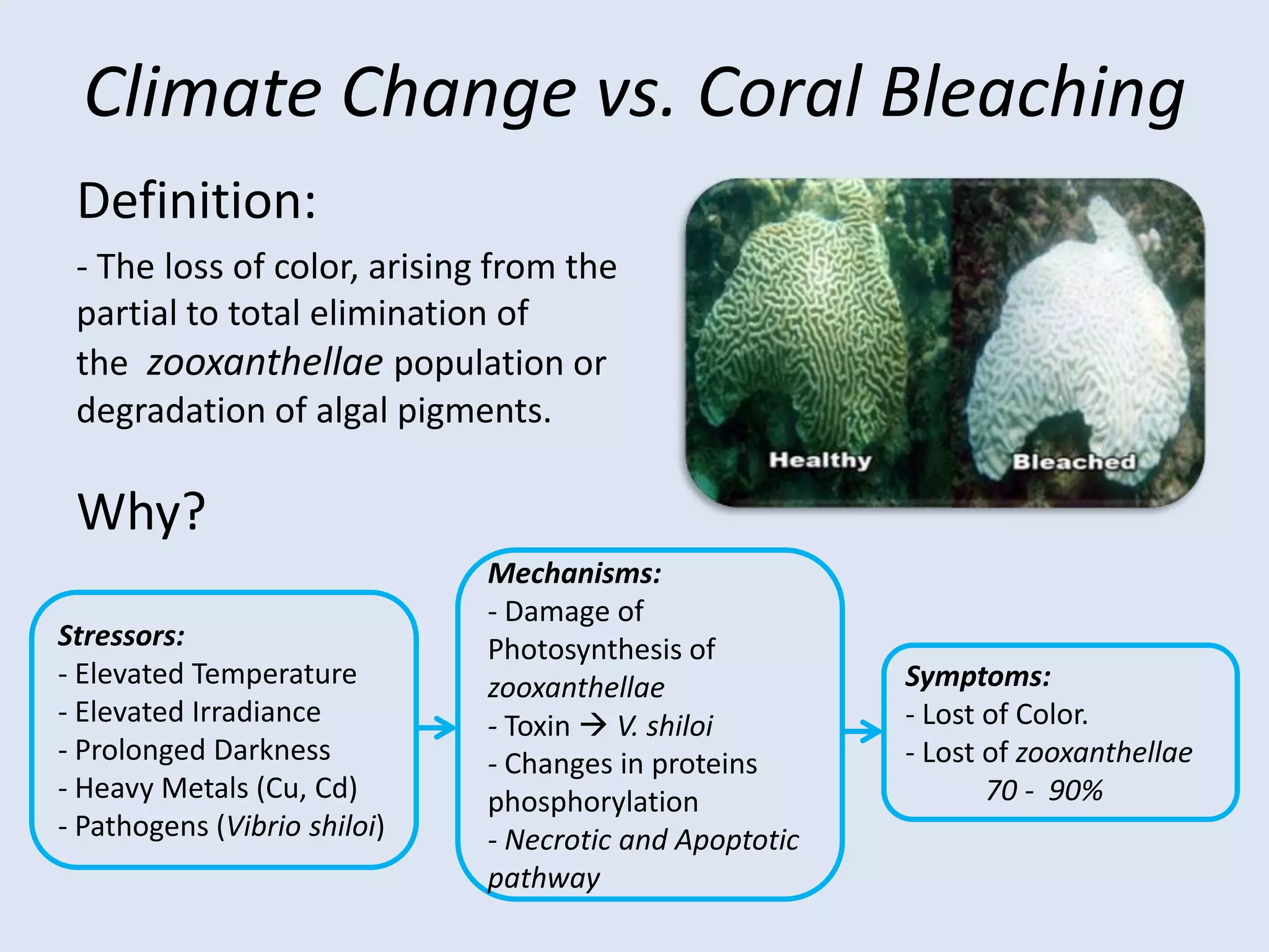 Lost of 13 million hectares/year.Global Warming vs. ForestSea Level Rise: Salt water intrusionHabitat modification and lostCostal erosion Temperature Increase: Longer hot seasonsSusceptibility to diseases and pest Dry of wetlands (Swamp Forest)Changes in Rain Fall Patterns Longer dry seasonsDesertificationIncrease of fire riskIncrease of flood in rainy seasonSoil erosionTear off of leavesHamper of reproduction